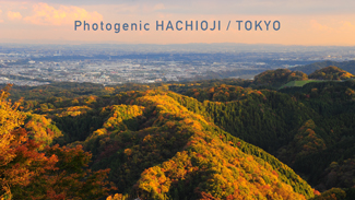 The official Hachioji travel guide